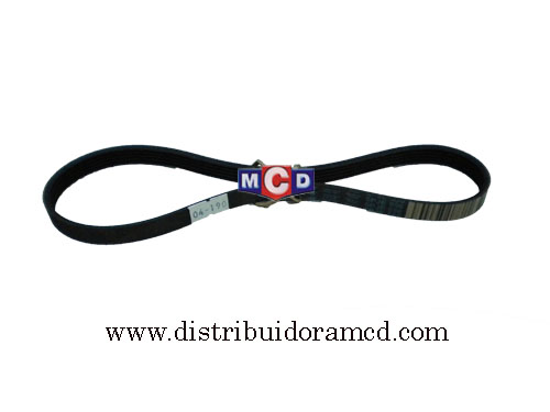 CORREA POLY V EL 5PJ - 556 ELASTICA IMPORT