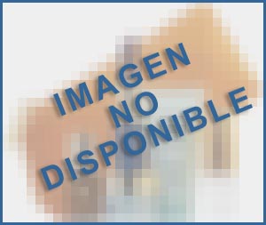 El archivo no se encuentra en la base de datos.